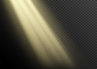 Rays of light from the window background. Vector effect. Transparent background. Beam with dust.