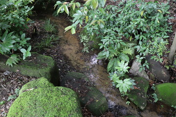 A mossy stone on the ground