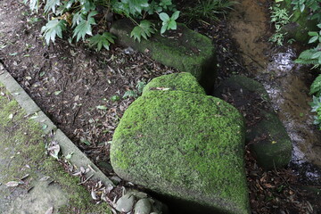 A mossy stone on the ground