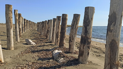 wooden poles by the sea