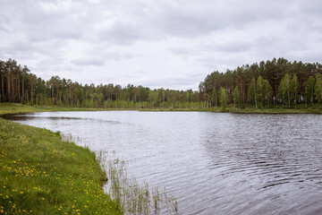 lake in the forest