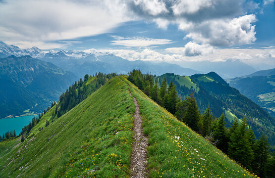 Bagian Ridge รูปภาพRidge – เลือกดูภาพถ่ายสต็อก เวกเตอร์ และวิดีโอ1,351,680 | Adobe Stock