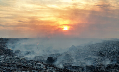 Coast with smoke after wildfire. Burnt wood at sunset