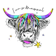 Cute cow (Hairy Coo) with a rainbow long hair, unicorn horns and in a headphone. I am so magical - lettering quote. Humor card, t-shirt composition, hand drawn style print. Vector illustration.
