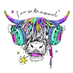 Cute cow (Hairy Coo) with a rainbow long hair, unicorn horns and in a headphone. I am so magical - lettering quote. Humor card, t-shirt composition, hand drawn style print. Vector illustration.