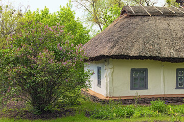 Fototapeta na wymiar Close-up view of small ancient clay house under straw roof with a garden in sunny day. Concept of historical buildings of ancient Ukraine