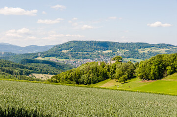 Dornach, Arlesheim Landwirtschaft, Burgruine Dorneck, Ruine, Birstal, Wanderweg, Errmitage, Wald, Aussichtspunkt, Baselland, Sommer, Schweiz