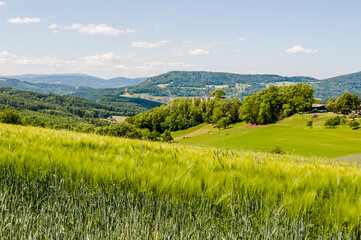 Dornach, Arlesheim Landwirtschaft, Burgruine Dorneck, Ruine, Birstal, Wanderweg, Errmitage, Wald,...