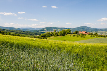Dornach, Arlesheim Landwirtschaft, Burgruine Dorneck, Ruine, Birstal, Wanderweg, Errmitage, Wald, Felder, Aussichtspunkt, Baselland, Sommer, Schweiz