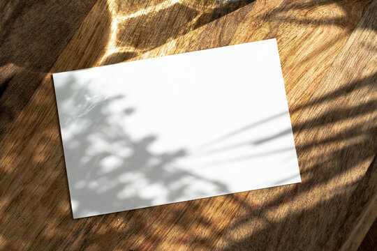 Blank white business card with copy space for your design