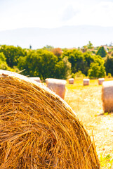 Detail of hay bales in a field
