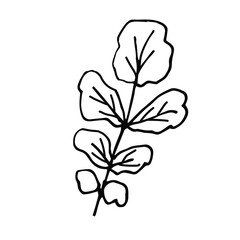 Single hand-drawn leaves for decorating cards, presentations, invitations. Doodle vector illustration. Isolated on white background