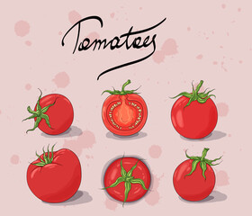 Tomato collection. Red tomato isolated. Juicy fresh organic vegetables. Hand drawn ripe vegetable. Vegan nutrition food icon. 
