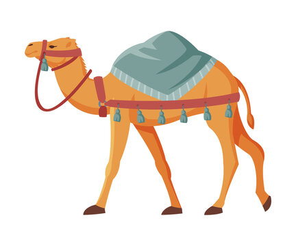 Camel with Saddle, Two Humped Ddesert Animal, Symbol of Egypt Flat Style Vector Illustration on White Background
