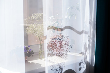 flowers on the windowsill behind a white curtain