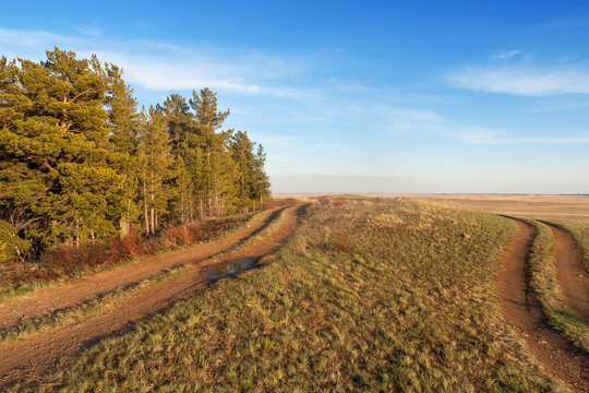 ForestSteppe Bilder Durchsuchen 1,464 Archivfotos,