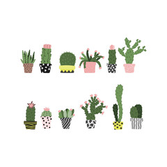 Set of cacti and succulents in hand drawn flat style. Cartoon plants