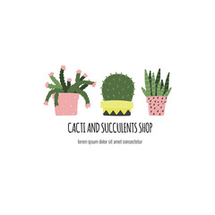 Cactus and succulents in pots. Hand drawn plants concept. Template for garden or flowers shop