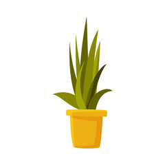 House Plant in Flowerpot Flat Style Vector Illustration on White Background