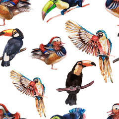 seamless pattern with birds. Hand-drawn watercolor illustration. Elements separately on a white background. Parrot, owl, ducks, toucans. Print, textile, paper, fabric. Vintage, sketch, retro, realism.