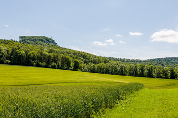 Naklejka premium Dornach, Gempen, Gempenplateau, Gempenturm, Wanderweg, Landwirtschaft, Felder, Baselland, Solothurn, Sommer, Schweiz