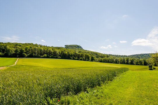 Dornach, Gempen, Gempenplateau, Gempenturm, Wanderweg, Landwirtschaft, Felder, Baselland, Solothurn, Sommer, Schweiz