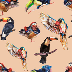 seamless pattern with birds. Hand-drawn watercolor illustration. Elements separately on a white background. Parrot, owl, ducks, toucans. Print, textile, paper, fabric. Vintage, sketch, retro, realism.