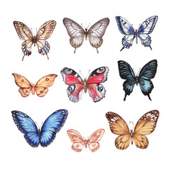 Obraz na płótnie Canvas Set collection with butterflies. Hand-drawn watercolor illustration. Elements separately on a white background. Black, red, blue, orange. Print, textile, paper, fabric. Vintage, sketch, retro, realism