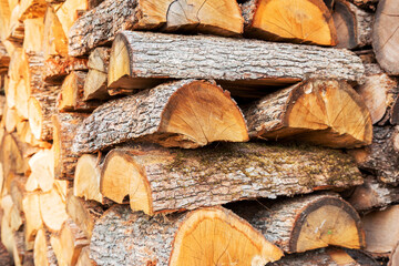 Cross section of the timber for the background. Selective trendy soft focus.