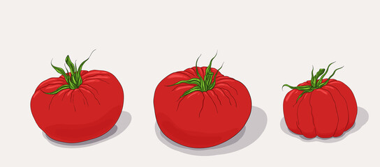 Red tomato set. Juicy fresh vegetables isolated. Organic food icon set. Vegetarian nutrition.Closeup.

