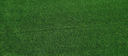 texture of artificial green grass. top view panorama background.
