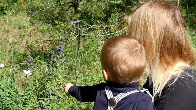 Blond cheerful boy next to mom watches butterflies on the green grass.