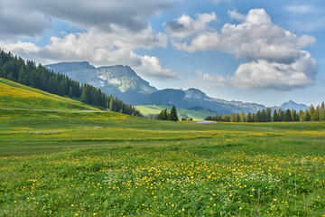 Landscape with Swiss Alps mountains and green nature. Photo taken at Hardergrat ridge trail / hike,...