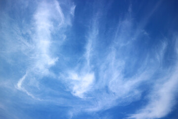 Blue sky and clouds on a sunny day in the morning for the background


