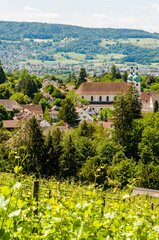 Arlesheim, Arlesheimer Dom, Dom, Domkirche, Weinberg,  Rebe, Dorf, Domkirche, Wanderweg, Birstal,...