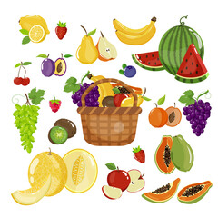 Collection of fruit icons. Basket full of fruits. Vector illustration