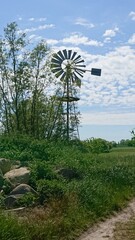 windmill in the forest