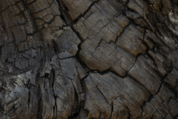 Charred wood black texture. Detailed macro close-up view burned scratched background. Coal detail.