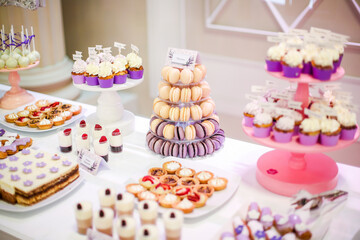 delicious candy bar with various sweets. cake pops, cupcakes, macaroons and others