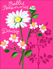 Blossom flowers on pink background design vector character illustration
