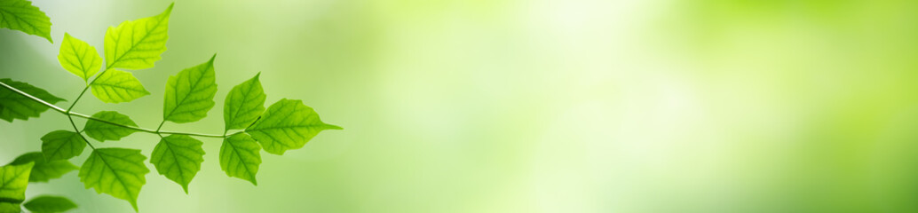 Nature of green leaf in garden at summer. Natural green leaves plants using as spring background cover page greenery environment ecology wallpaper
