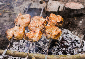 cooking juicy pork skewers in nature