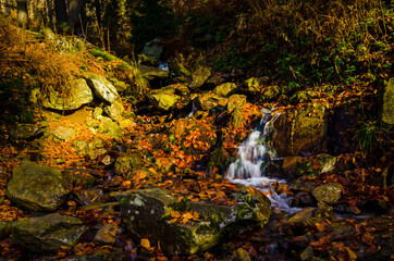 Beautiful autumn forest and dry mountain river