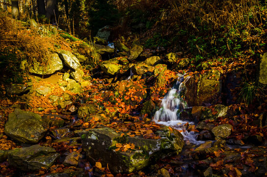Beautiful autumn forest and dry mountain river © Lukas