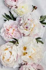 Beautiful pink and white peony flowers background.