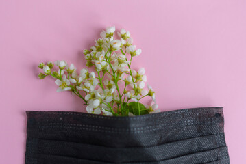 black medical protective mask and cherry blossoms on a pink background, a concept of spring during quarantine and the coronavirus pandemic