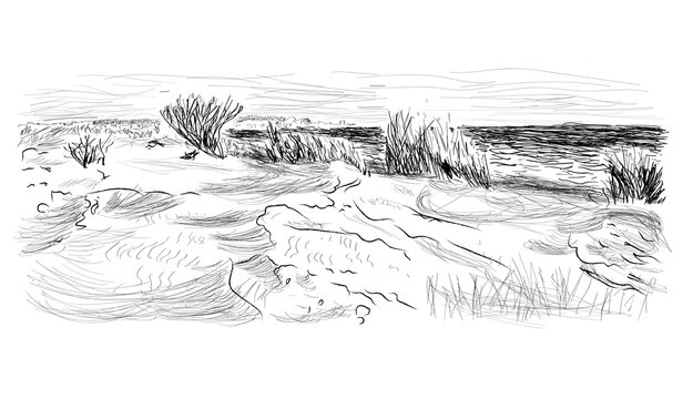 Small sand Dunes on the empty seashore
