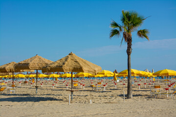 umbrellas on the beach