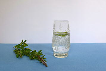 A glass of mineral water and mint.