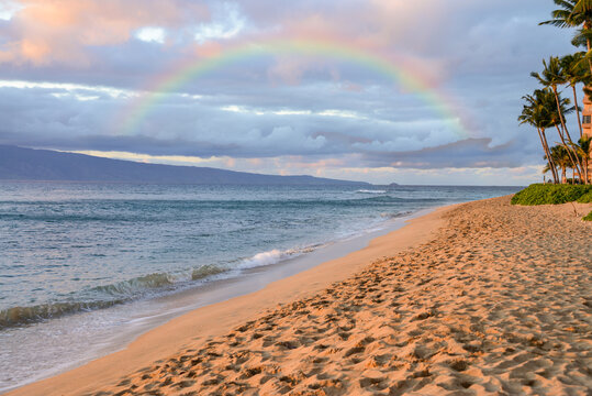 Beautiful rainbow over Tropical sandy beach in Maui Hawaii USA
Horizontal No People 
